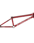 WeThePeople Prodigy 18" BMX Frame