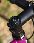 Fairdale Weekender Nomad Complete Bike - Gloss Berry