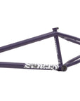 Sunday Darkwave BMX Frame