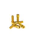 Salt Solid Stem Bolts