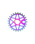 Salt Comp Sprocket