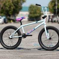 Sunday Forecaster - Aaron Ross Signature 20" Complete BMX Bike