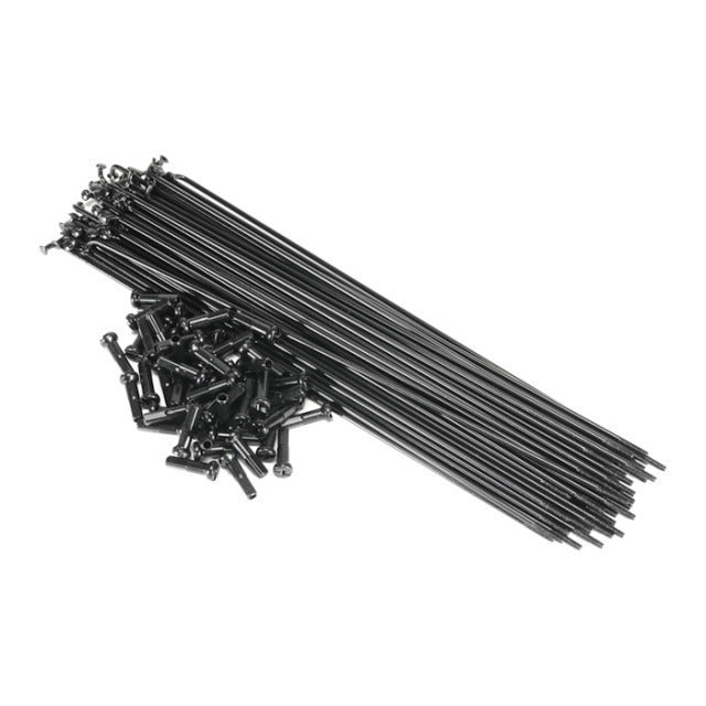 Salt PG Spokes