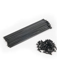 Eclat PG Spokes
