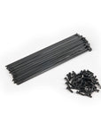 Eclat PG Spokes
