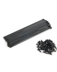 Eclat PG Spokes