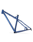 BOMBTRACK Beyond+ Frame