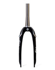 Hex Lab X6 Pro Carbon Forks