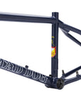 S&M Mad Dog 22" Frame 990 Mounts Blue Groove