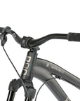 Radio Griffin Pro 26“ Complete Bike