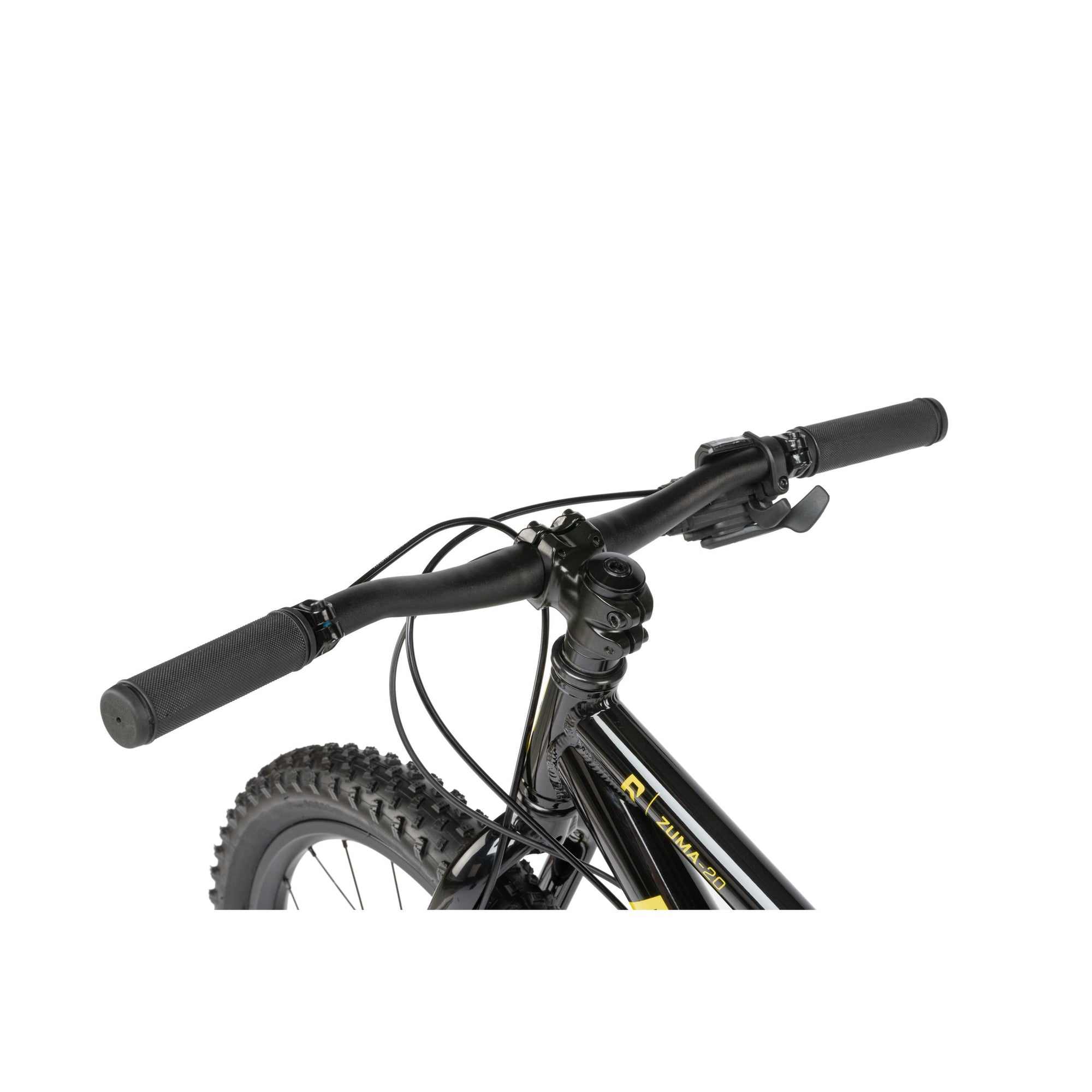 Radio Bikes Zuma 20" Complete Bike