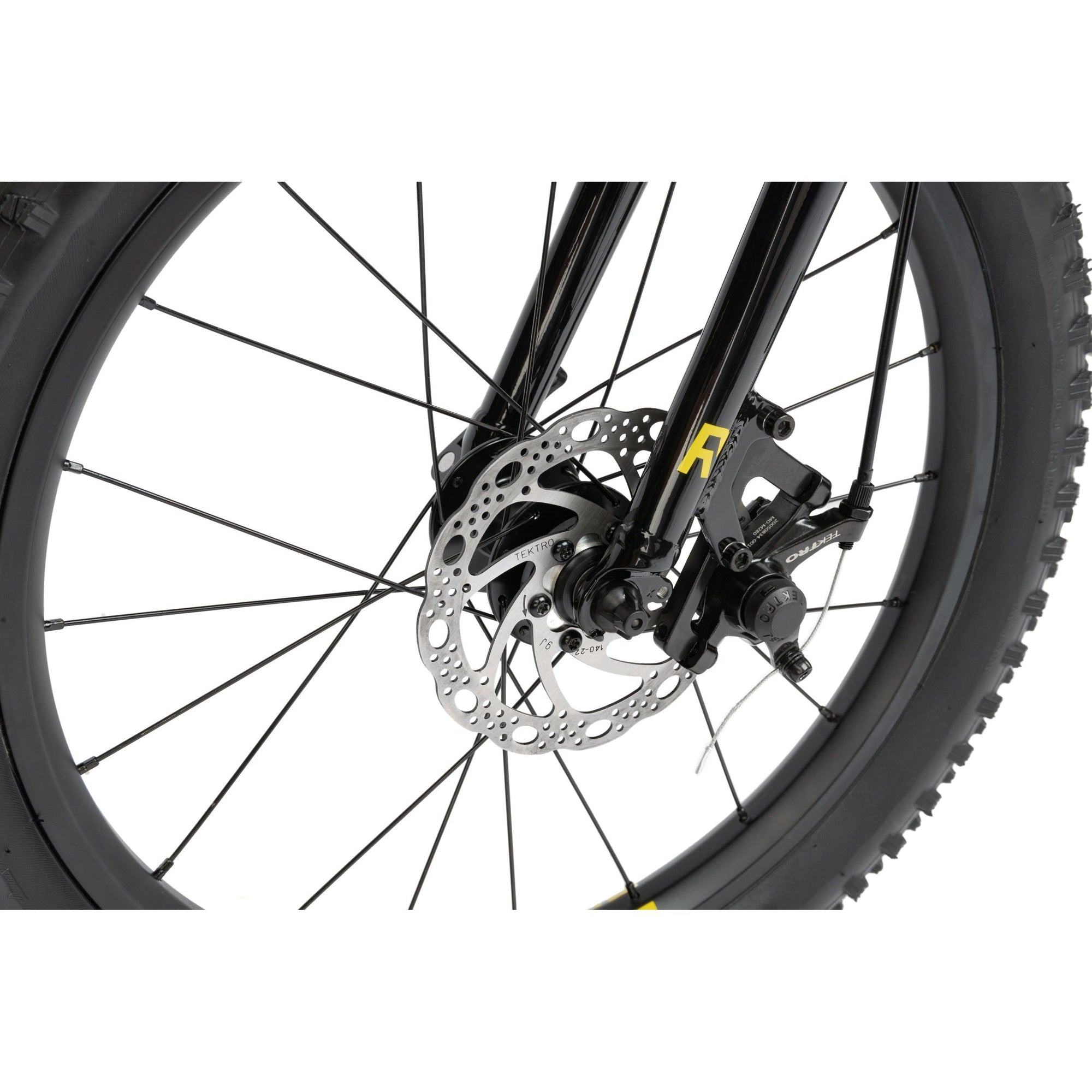 Radio Bikes Zuma 20" Complete Bike