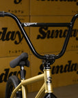 Sunday Wavelength 20" Complete BMX Bike - Gary Young Signature
