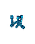 Salt Solid Stem Bolts