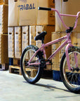 Tribal Trap 20" Complete BMX Bike - Pink