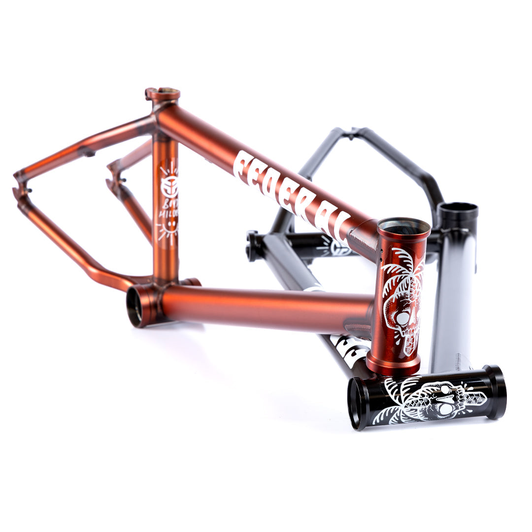 Federal Boyd 18&quot; ICS2 Frame - Matt Trans Brown 19&quot; | BMX