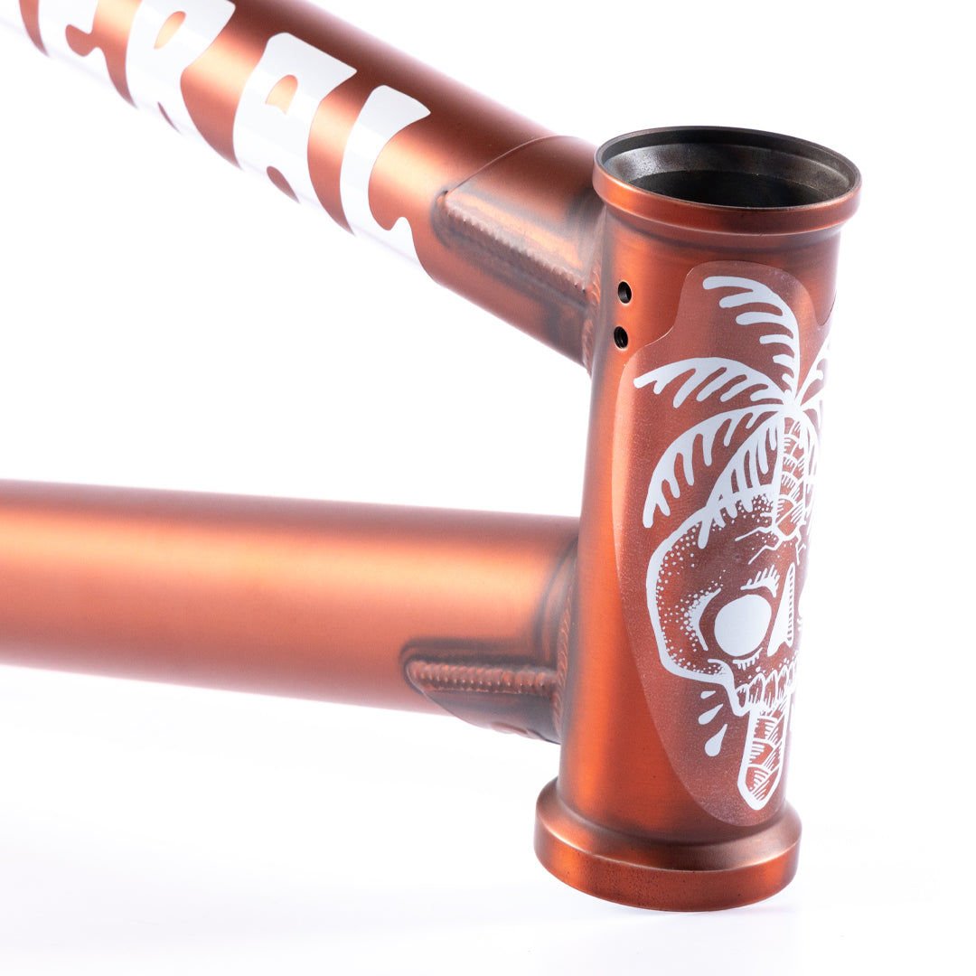Federal Boyd ICS2 Frame - Matt Trans Brown | BMX